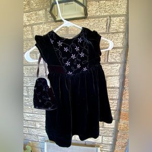 Beautiful velvet dress and maching purse. Size 18-24 months.